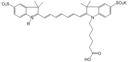 5dc2f050f069d.jpg cy7.jpg