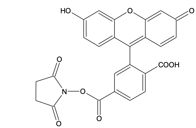 5e4660f484ed3.png 屏幕快照 2020-02-14 16.56.52.png