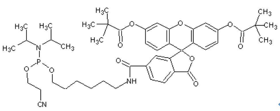5e50c66e45dbf.png 屏幕快照 2020-02-22 14.11.56.png