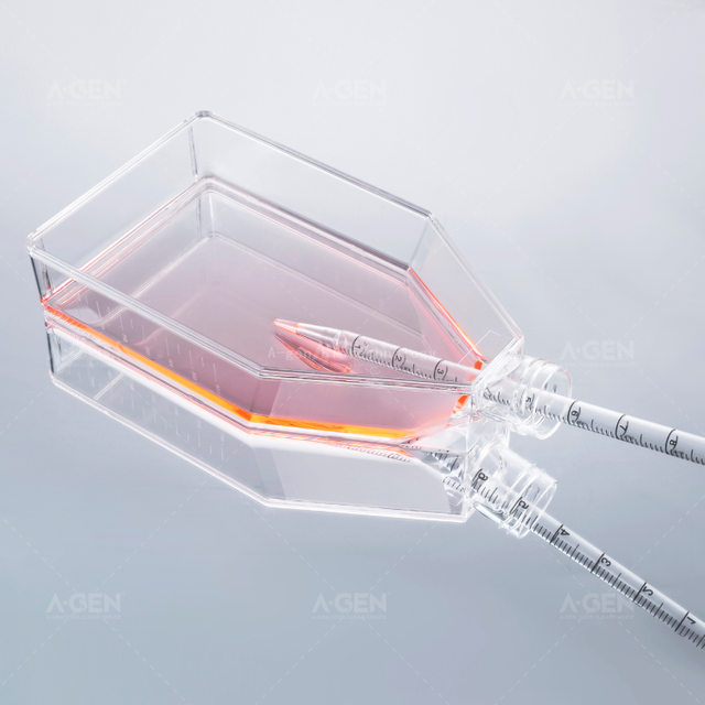 175 Cm2 未處理無(wú)菌細(xì)胞培養(yǎng)瓶，帶密封蓋或透氣蓋（TC 處理可選）
