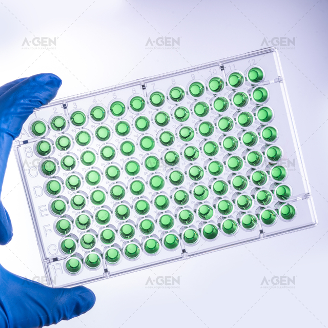 96 孔透明板高結(jié)合無菌 Elisa 板，無蓋