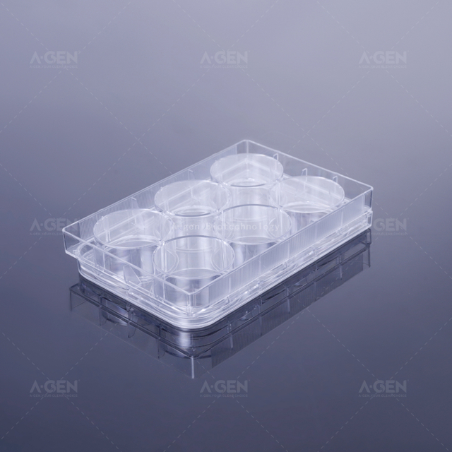 6孔透明板，透明蓋，TC處理無菌，吸塑盒裝