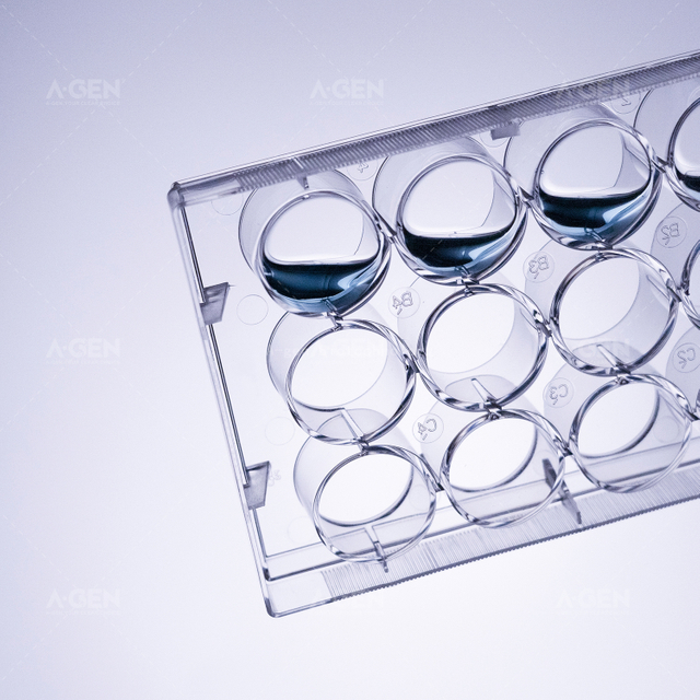 12孔透明板，透明蓋，TC處理無菌，吸塑盒裝