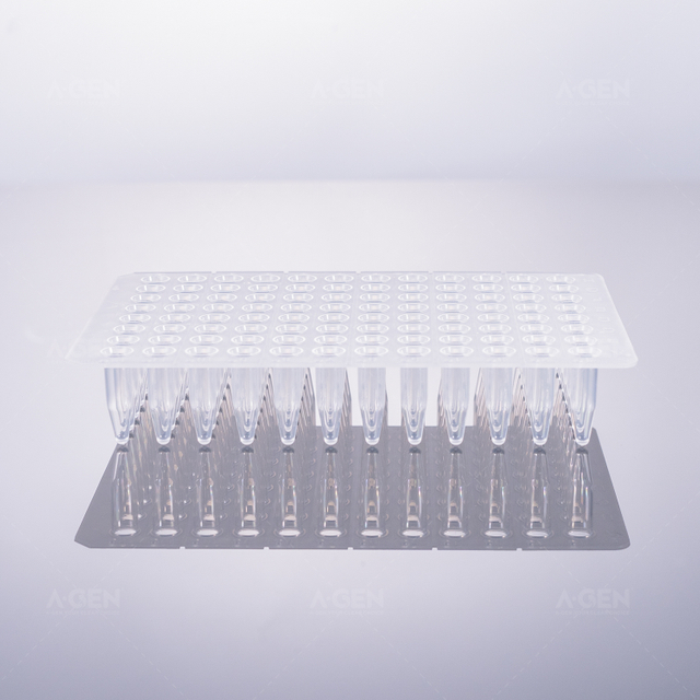 0.2mL 96 PCR，透明，無裙邊
