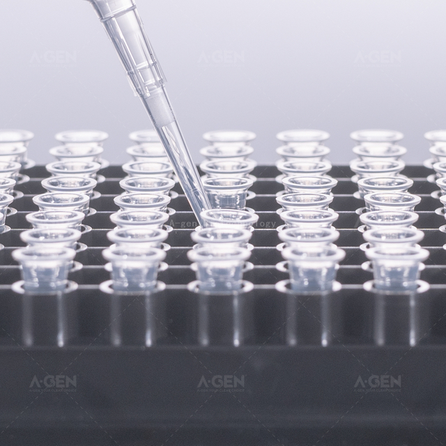 O款 過(guò)濾移液器吸頭 透明 20μL PP 移液器吸頭（盒裝，無(wú)菌）供實(shí)驗(yàn)室使用 OPTF-20-RSL 低吸附可選