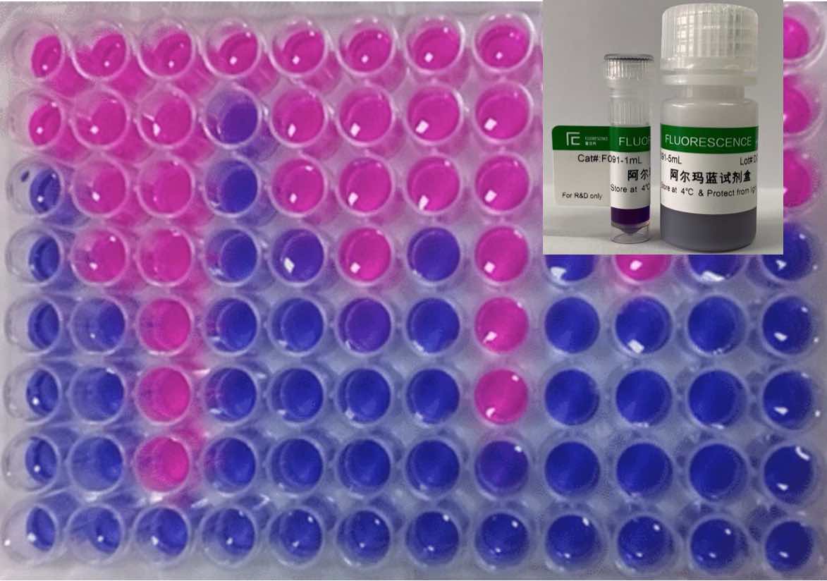 阿爾瑪藍(lán)試劑盒（Alamar Blue Kit）