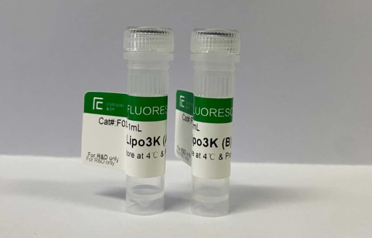 Lipo3K轉(zhuǎn)染試劑
